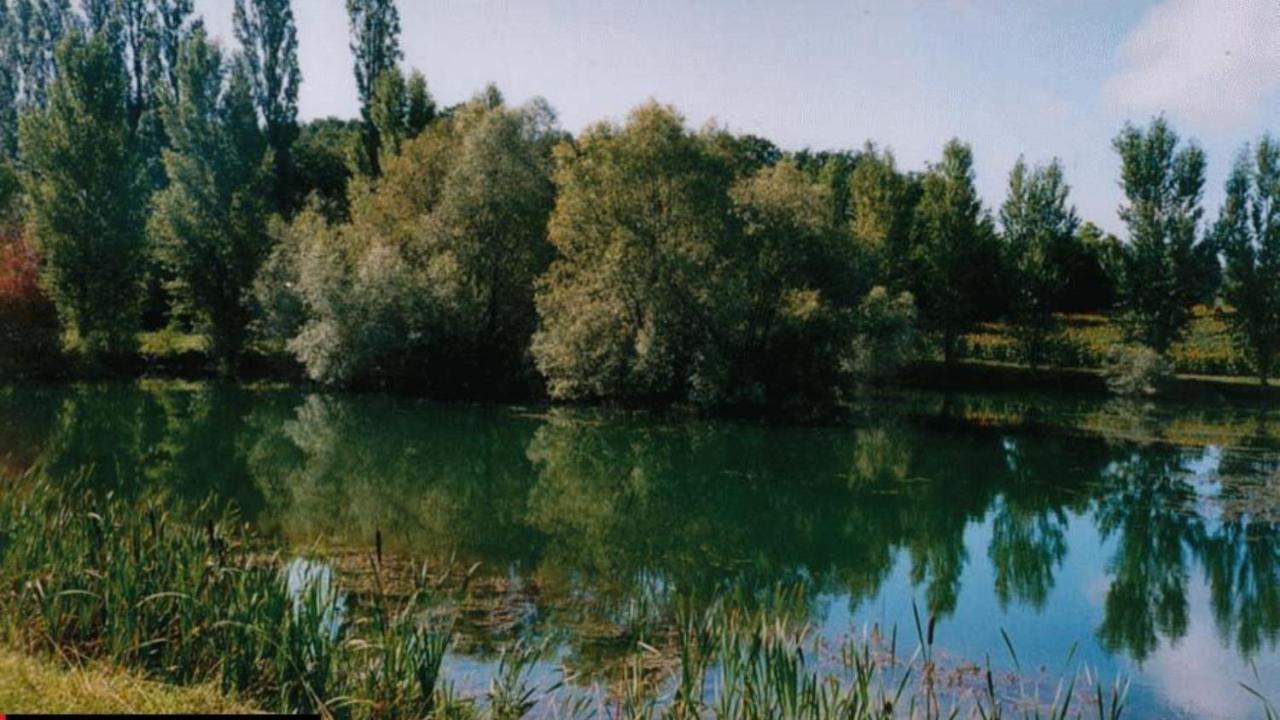 La Decouverte, Jacuzzi, Sauna, Et Terrasse Avec Vue Sur A La Campagne Entre Toulouse Et Auch Ferienhaus *