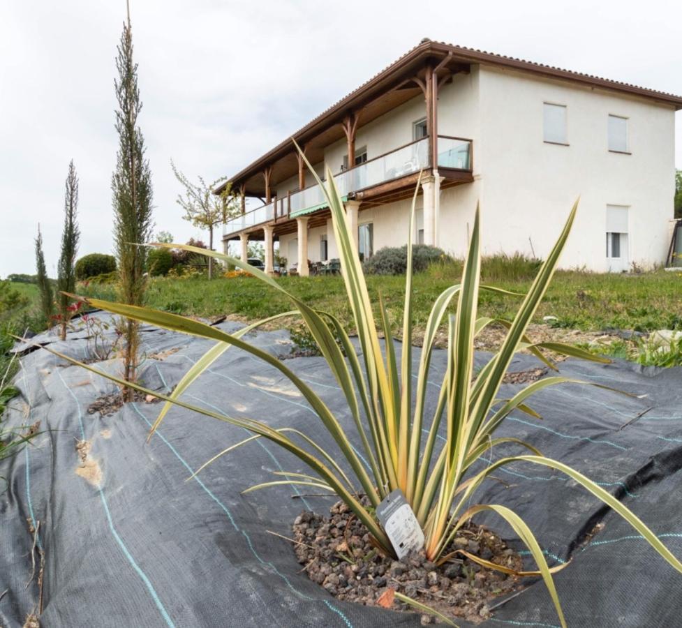La Decouverte, Jacuzzi, Sauna, Et Terrasse Avec Vue Sur A La Campagne Entre Toulouse Et Auch Ferienhaus Catonvielle